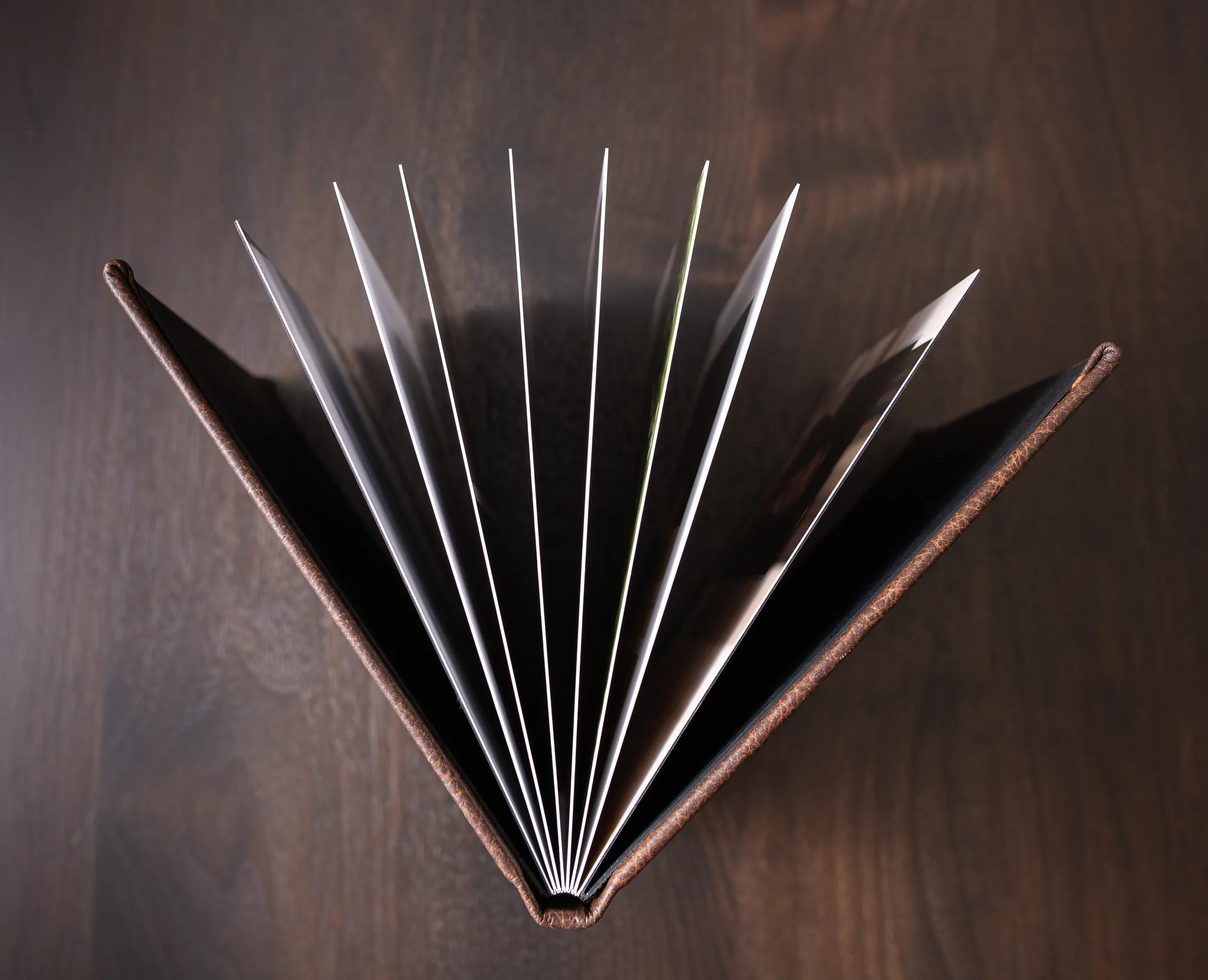 Leather album with its pages fanned open